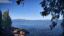 ./images/koeye/fitz-hugh/20260618/fitz-hugh20260618_083001M.jpg