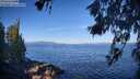 ./images/koeye/fitz-hugh/20260618/fitz-hugh20260618_083501M.jpg