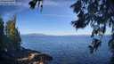 ./images/koeye/fitz-hugh/20260618/fitz-hugh20260618_085002M.jpg