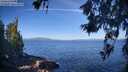 ./images/koeye/fitz-hugh/20260618/fitz-hugh20260618_085501M.jpg