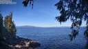 ./images/koeye/fitz-hugh/20260618/fitz-hugh20260618_090501M.jpg