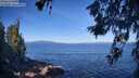 ./images/koeye/fitz-hugh/20260618/fitz-hugh20260618_091001M.jpg