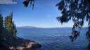 ./images/koeye/fitz-hugh/20260618/fitz-hugh20260618_091502M.jpg