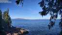 ./images/koeye/fitz-hugh/20260618/fitz-hugh20260618_092501M.jpg