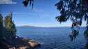 ./images/koeye/fitz-hugh/20260618/fitz-hugh20260618_093002M.jpg