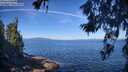./images/koeye/fitz-hugh/20260618/fitz-hugh20260618_094001M.jpg
