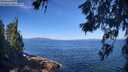 ./images/koeye/fitz-hugh/20260618/fitz-hugh20260618_095001M.jpg
