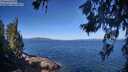 ./images/koeye/fitz-hugh/20260618/fitz-hugh20260618_100501M.jpg