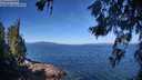 ./images/koeye/fitz-hugh/20260618/fitz-hugh20260618_101001M.jpg