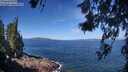 ./images/koeye/fitz-hugh/20260618/fitz-hugh20260618_104502M.jpg