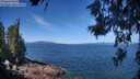 ./images/koeye/fitz-hugh/20260618/fitz-hugh20260618_111001M.jpg