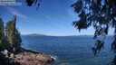 ./images/koeye/fitz-hugh/20260618/fitz-hugh20260618_111502M.jpg