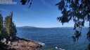 ./images/koeye/fitz-hugh/20260618/fitz-hugh20260618_112002M.jpg