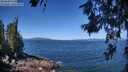./images/koeye/fitz-hugh/20260618/fitz-hugh20260618_112501M.jpg