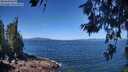 ./images/koeye/fitz-hugh/20260618/fitz-hugh20260618_113502M.jpg