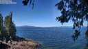 ./images/koeye/fitz-hugh/20260618/fitz-hugh20260618_114002M.jpg