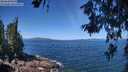 ./images/koeye/fitz-hugh/20260618/fitz-hugh20260618_114501M.jpg