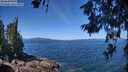 ./images/koeye/fitz-hugh/20260618/fitz-hugh20260618_115001M.jpg