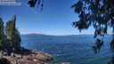./images/koeye/fitz-hugh/20260618/fitz-hugh20260618_120001M.jpg