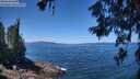 ./images/koeye/fitz-hugh/20260618/fitz-hugh20260618_123002M.jpg