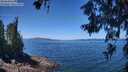 ./images/koeye/fitz-hugh/20260618/fitz-hugh20260618_123501M.jpg