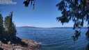 ./images/koeye/fitz-hugh/20260618/fitz-hugh20260618_124002M.jpg