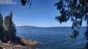 ./images/koeye/fitz-hugh/20260618/fitz-hugh20260618_125001M.jpg