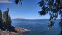 ./images/koeye/fitz-hugh/20260618/fitz-hugh20260618_125502M.jpg