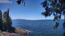 ./images/koeye/fitz-hugh/20260618/fitz-hugh20260618_130501M.jpg