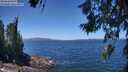 ./images/koeye/fitz-hugh/20260618/fitz-hugh20260618_131002M.jpg