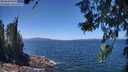./images/koeye/fitz-hugh/20260618/fitz-hugh20260618_131501M.jpg