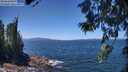 ./images/koeye/fitz-hugh/20260618/fitz-hugh20260618_132001M.jpg