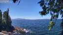 ./images/koeye/fitz-hugh/20260618/fitz-hugh20260618_133501M.jpg