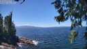 ./images/koeye/fitz-hugh/20260618/fitz-hugh20260618_135001M.jpg