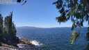 ./images/koeye/fitz-hugh/20260618/fitz-hugh20260618_135501M.jpg