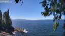 ./images/koeye/fitz-hugh/20260618/fitz-hugh20260618_140001M.jpg
