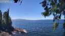 ./images/koeye/fitz-hugh/20260618/fitz-hugh20260618_140502M.jpg