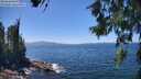 ./images/koeye/fitz-hugh/20260618/fitz-hugh20260618_141002M.jpg