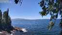 ./images/koeye/fitz-hugh/20260618/fitz-hugh20260618_141501M.jpg