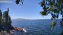 ./images/koeye/fitz-hugh/20260618/fitz-hugh20260618_142501M.jpg