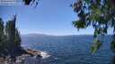 ./images/koeye/fitz-hugh/20260618/fitz-hugh20260618_144002M.jpg
