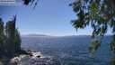 ./images/koeye/fitz-hugh/20260618/fitz-hugh20260618_151502M.jpg