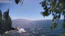 ./images/koeye/fitz-hugh/20260618/fitz-hugh20260618_154001M.jpg