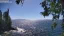 ./images/koeye/fitz-hugh/20260618/fitz-hugh20260618_155001M.jpg
