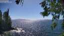 ./images/koeye/fitz-hugh/20260618/fitz-hugh20260618_155502M.jpg