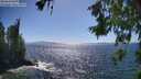 ./images/koeye/fitz-hugh/20260618/fitz-hugh20260618_161001M.jpg