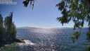 ./images/koeye/fitz-hugh/20260618/fitz-hugh20260618_161501M.jpg