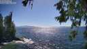 ./images/koeye/fitz-hugh/20260618/fitz-hugh20260618_162501M.jpg