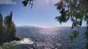 ./images/koeye/fitz-hugh/20260618/fitz-hugh20260618_163501M.jpg