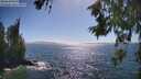 ./images/koeye/fitz-hugh/20260618/fitz-hugh20260618_164501M.jpg